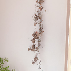 【販売済み】超巨大/11/11発見【山芋の花殻】スワッグ/ドライフラワー/花材 0_e129810ad8df10a34f37e2676ed0