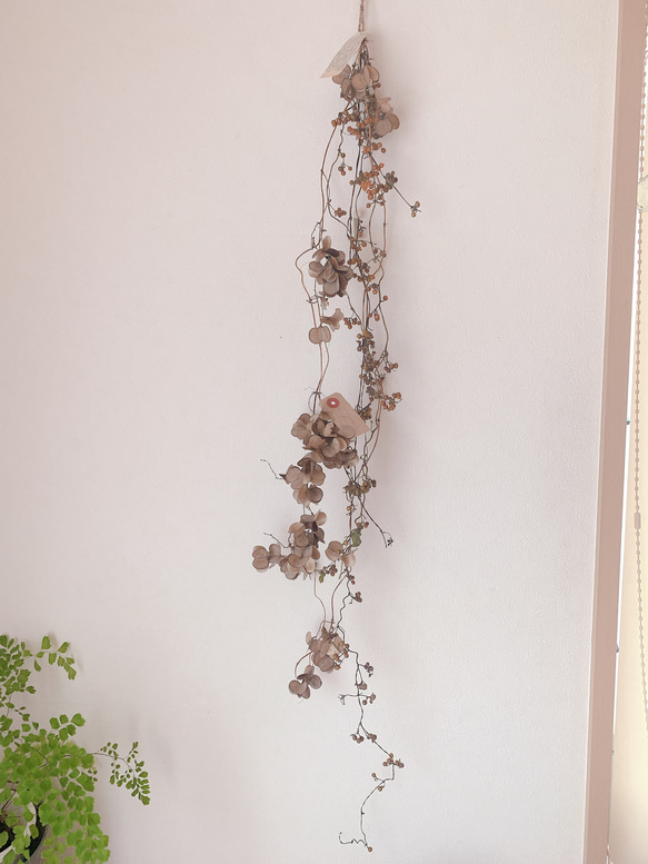 ドライフラワー ヘクソカズラと山芋の花殻の長いスワッグ ドライ