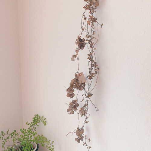 ドライフラワー ヘクソカズラと山芋の花殻の長いスワッグ ドライ
