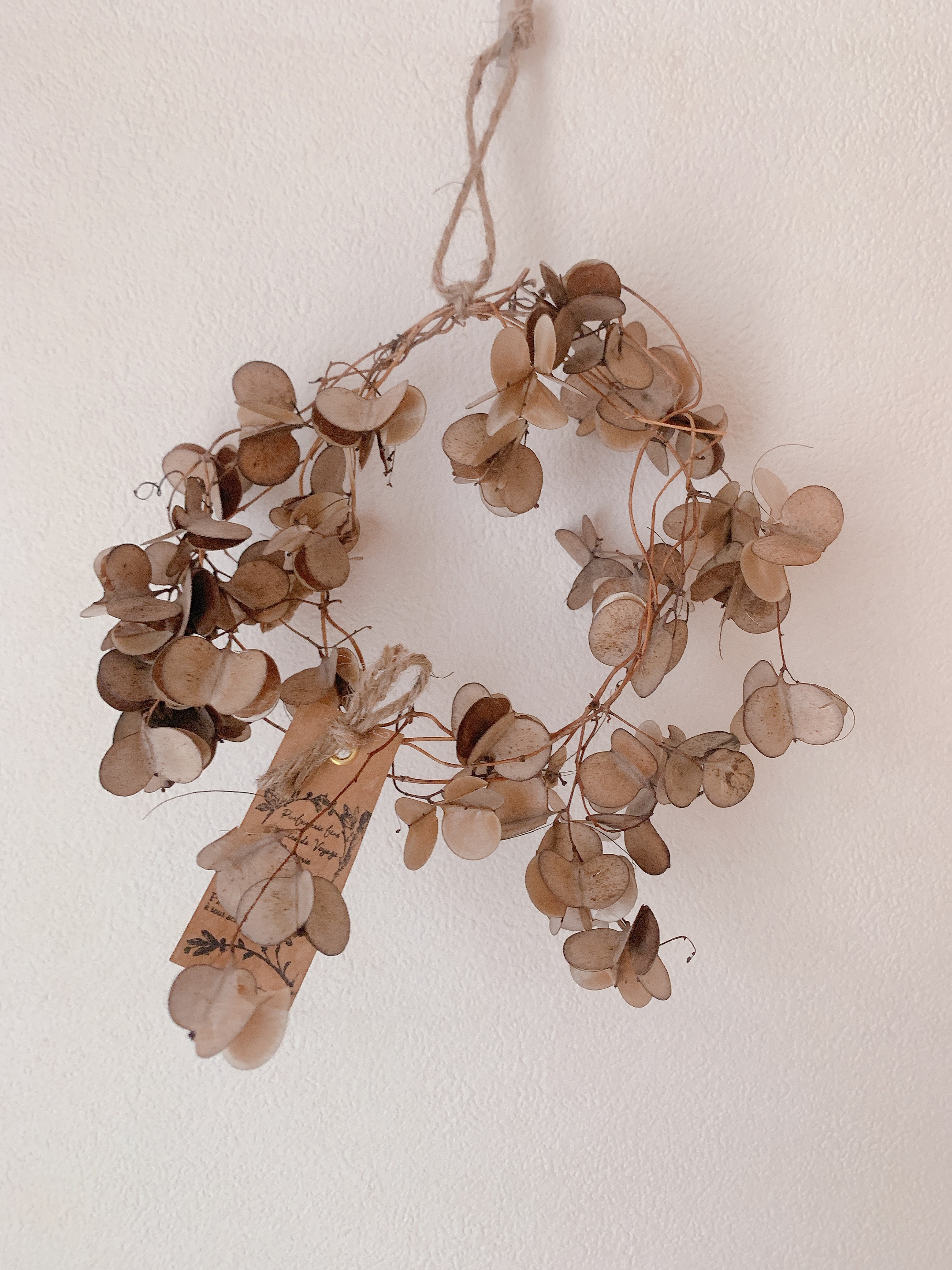 ドライフラワー 山芋の花殻のリース リース 葉つみ 通販 8236192