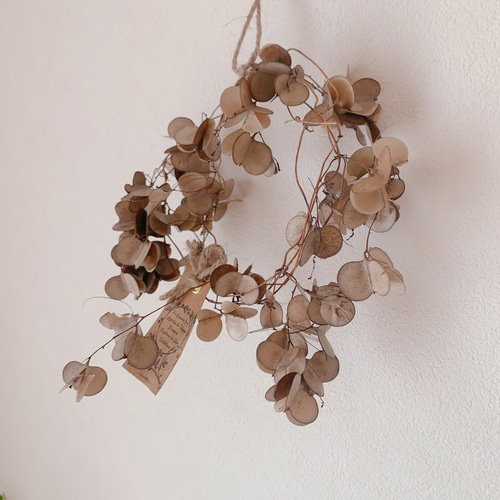 ドライフラワー 山芋の花殻のリース リース 葉つみ 通販 8236192