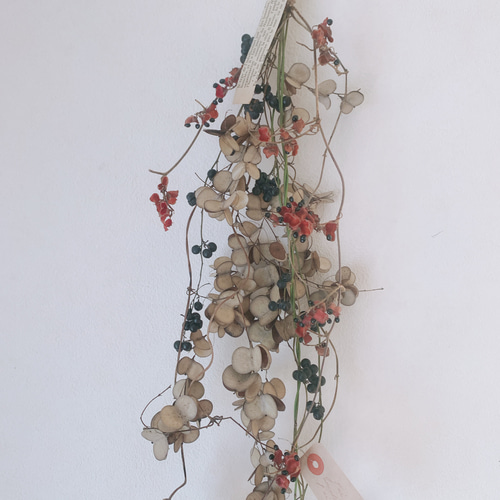 山芋の蔓　ツル　花殻　スワッグ　リース　ドライフラワー　花材 ドライフラワー 山芋の花殻のリース リース 葉つみ 通販 8301013