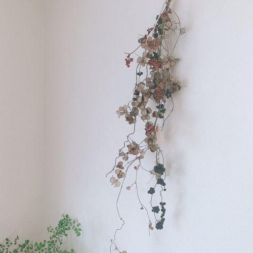 山芋の蔓　ツル　花殻　スワッグ　リース　ドライフラワー　花材 山芋の蔓 ツル 花殻 スワッグ リース ドライフラワー 花材 ドライ