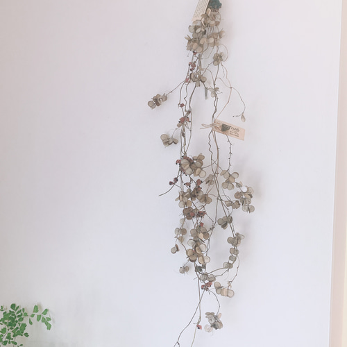 山芋の蔓　ツル　花殻　スワッグ　リース　ドライフラワー　花材 ドライフラワー 山芋の花殻とタンキリマメと山葡萄のつるの長い