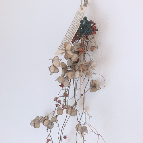 ドライフラワー 山芋の花殻とタンキリマメと山葡萄のつるの長い