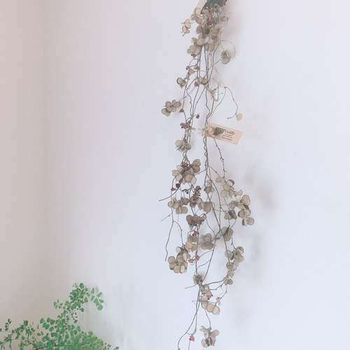 ドライフラワー 山芋の花殻とタンキリマメと山葡萄のつるの長い