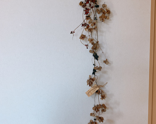 【販売済み】超巨大/11/11発見【山芋の花殻】スワッグ/ドライフラワー/花材 ドライフラワー 山芋の花殻とタンキリマメと山葡萄の長い