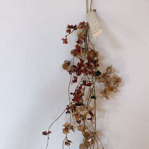 ドライフラワー 山芋の花殻とタンキリマメと山葡萄の長い