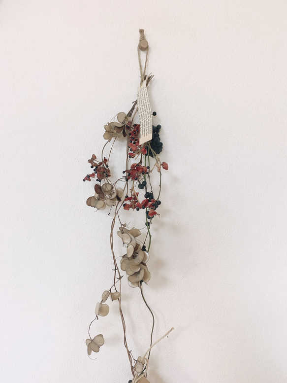 ドライフラワー  山芋の花殻とタンキリマメと山葡萄の長いスワッグ 2枚目の画像