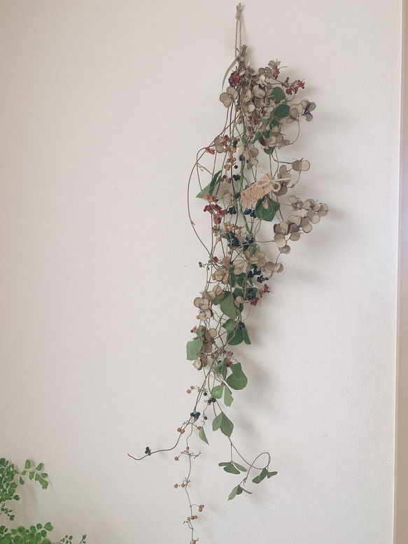 ドライフラワー  山芋の花殻とタンキリマメと山葡萄とヘクソカズラの長いスワッグ 1枚目の画像