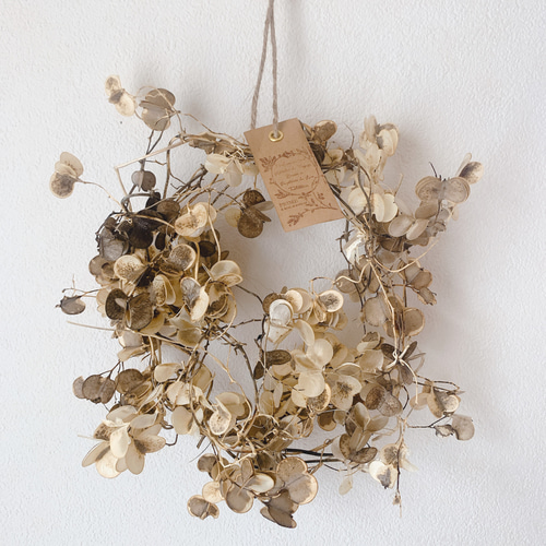 山芋の蔓　ツル　花殻　スワッグ　リース　ドライフラワー　花材 ドライフラワー 山芋の花殻のリース リース 葉つみ 通販 8301013