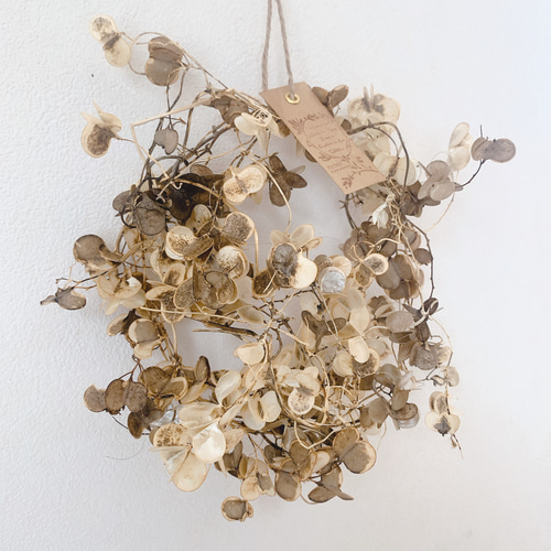 ドライフラワー 山芋の花殻のリース リース 葉つみ 通販 8301013