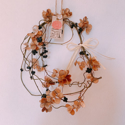 0_369c54724ff4ed4d0acd20dbaff0