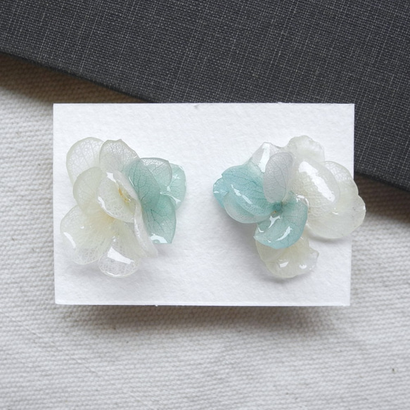 花之和 第1張的照片