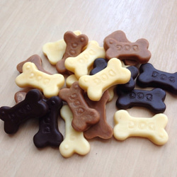 送料無料♡ハンドメイド素材　わんちゃん大好きボーンクッキーのチャーム８枚 1枚目の画像