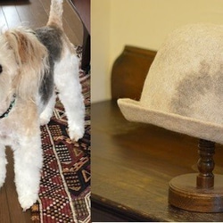 犬毛帽子 1枚目の画像