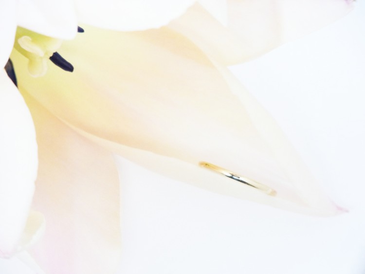 K18YG Fate プレーンリング