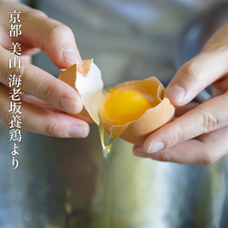  第4張的照片