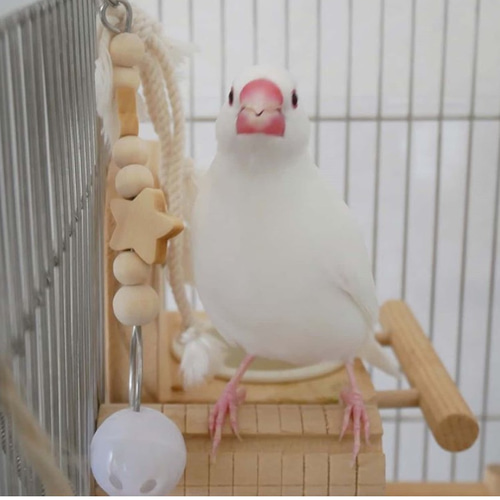 安全で安心☆金属不使用の鈴☆《星のプラ鈴りんりん♪♪》 おもちゃ