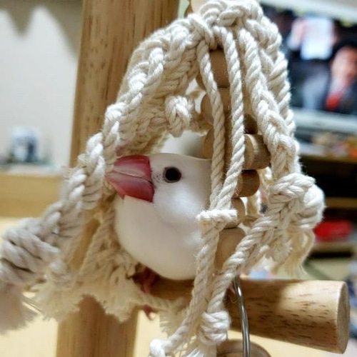 安全で安心《お花のナチュラルかみかみ》鳥おもちゃ インコおもちゃ 安全で安心《お花のツンツンかみかみ》✩.*˚鳥 インコ おもちゃ