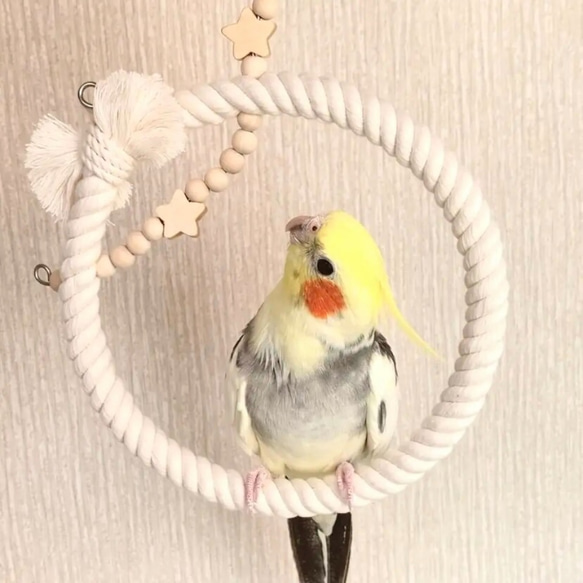 安全で安心《星のぬくぬくブランコ》Ｌサイズ☆*°鳥ブランコ インコブランコ