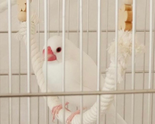 0_b020b00354190b5b604754d40f9a