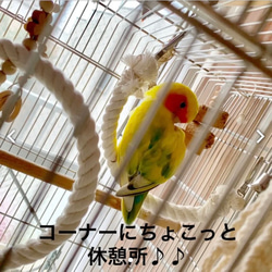 安全で安心 ★完全オーダー制★ 《コットンブランコ》✩.*˚ケージ用 ショートタイプ／鳥 インコ ブランコ おもちゃ 4枚目の画像