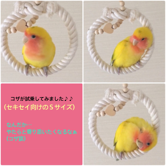 廃盤＊安全で安心《♡の ぬくぬくブランコ》Sサイズ✩.*˚鳥ブランコ-インコブランコ 3枚目の画像