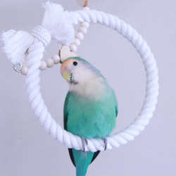 インコちゃんの✩.*˚ゆらゆら リンゴのゆりかご お好きな形で使えます