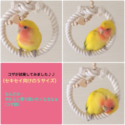 安全で安心《お花の ぬくぬくブランコ》SSサイズ✩.*˚鳥ブランコ-文鳥ブランコ 2枚目の画像