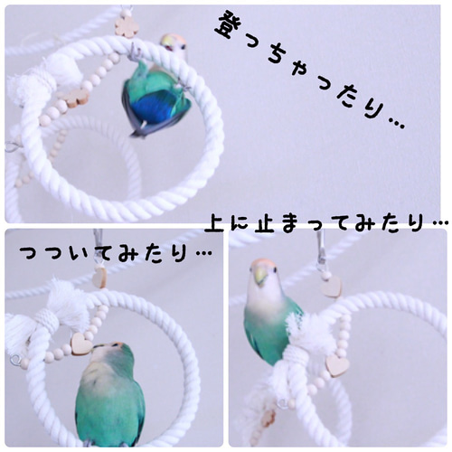 安全で安心《星のぬくぬくブランコ》SSサイズ✩.*˚鳥ブランコ-文鳥  