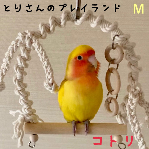 安全で安心《とりさんのプレイランド》Mサイズ✩.*˚鳥ブランコ-インコブランコ インコおもちゃ 鳥おもちゃ 2枚目の画像