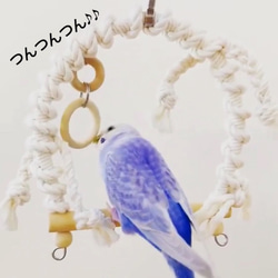 安全で安心《とりさんのプレイランド》Sサイズ✩.*˚鳥ブランコ-インコブランコ インコおもちゃ 鳥おもちゃ 2枚目の画像