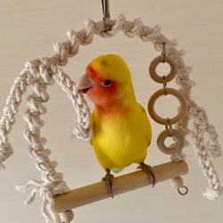 安全で安心《とりさんのプレイランド》Sサイズ✩.*˚鳥ブランコ-インコブランコ インコおもちゃ 鳥おもちゃ 6枚目の画像