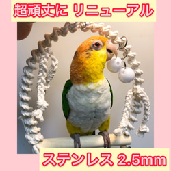 安全で安心《とりさんのプレイランド》XLサイズ✩シロハラインコ✩.*˚鳥ブランコ インコブランコ 1枚目の画像