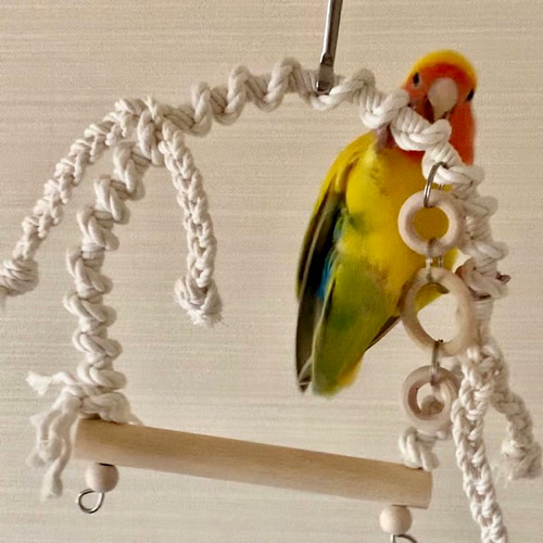 鳥ブランコおまとめ & リメイク 安全で安心《とりさんのプレイランド》XLサイズ✩シロハラインコ