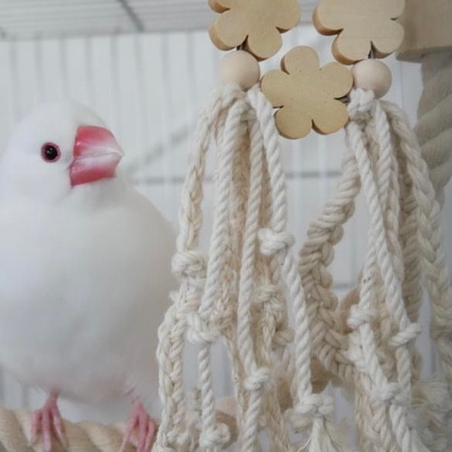 安全で安心《お花のナチュラルかみかみ》✩.*˚鳥 おもちゃ インコ
