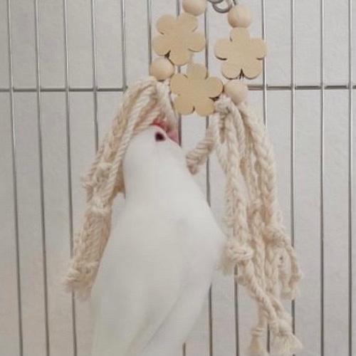 安全で安心《お花のナチュラルかみかみ》✩.*˚鳥 おもちゃ インコ