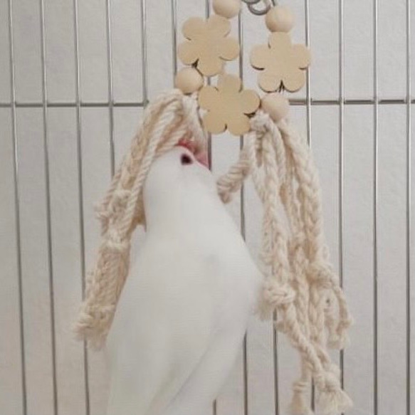 安全で安心《お花のナチュラルかみかみ》✩.*˚鳥 おもちゃ インコ おもちゃ 4枚目の画像