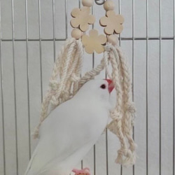 安全で安心《お花のナチュラルかみかみ》✩.*˚鳥 おもちゃ インコ おもちゃ 5枚目の画像