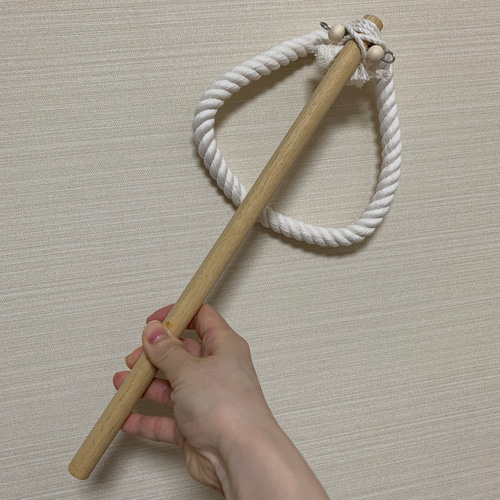 安全で安心《とりとりスティック》✩.*˚鳥ブランコ インコ