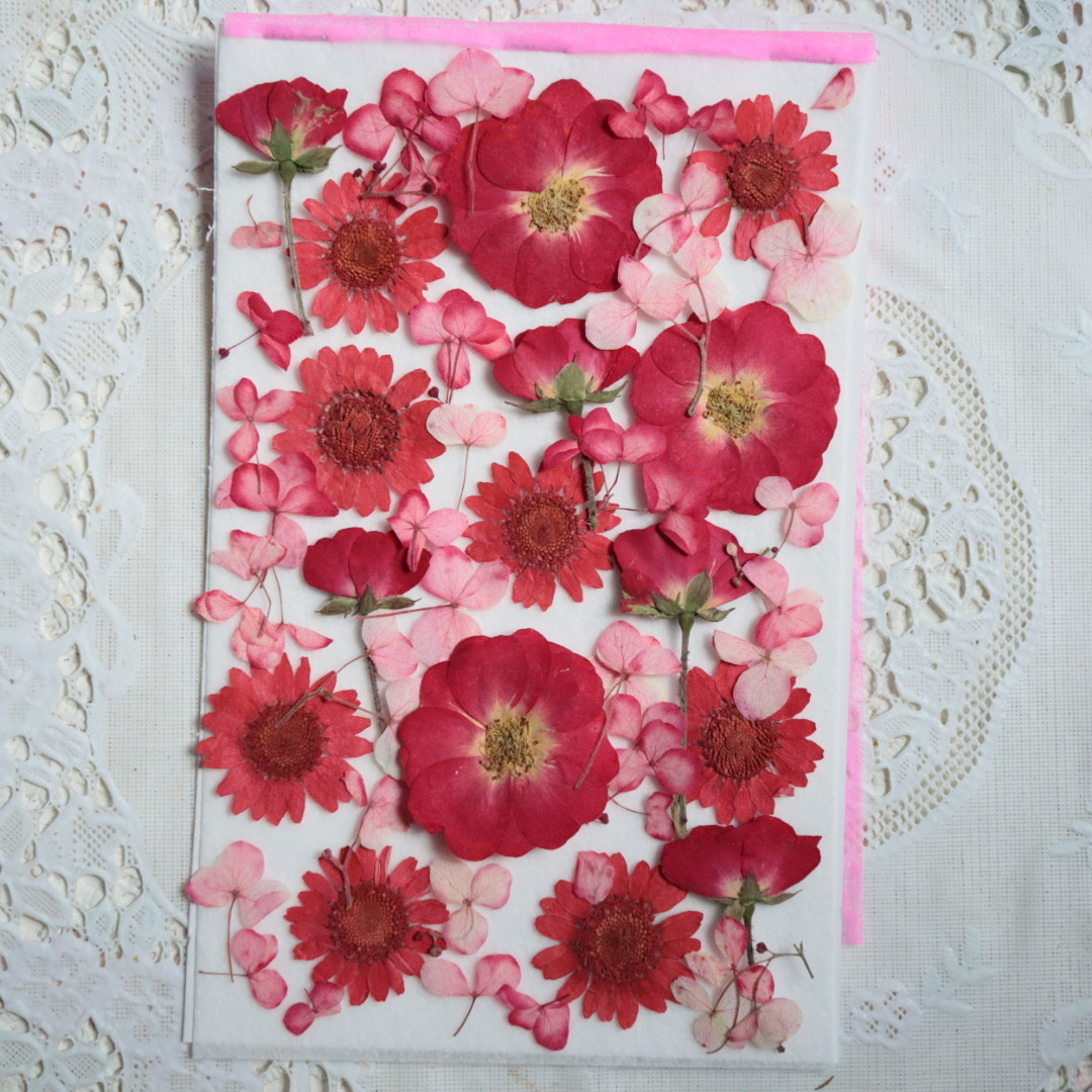 楽天市場】【mflowerコラボ】押し花 さくら 啓翁桜 正面向き