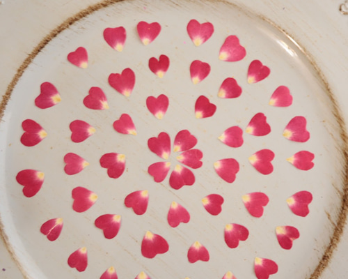 押し花用　PANPASTEL27色29個 押し花用 PANPASTEL27色29個 押し花用 PANPASTEL27色29個