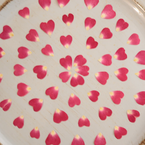 押し花バラ花びらハート形50枚 その他素材 花mizuki 通販 8075166