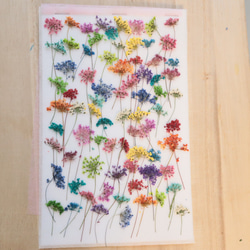 押し花スプレーバラ30本（訳あり） その他素材 花mizuki 通販 9889468