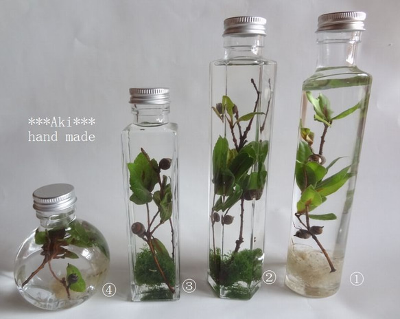 秋物セール】ボタニカル どんぐりハーバリウム④ ハーバリウム・植物