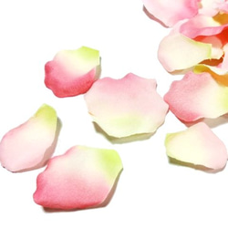 花びら２０枚（ピンク＆グリーン）＠６４０１１７ 2枚目の画像