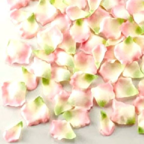 花びら２０枚（ピンク＆グリーン）＠６４０１１７ 3枚目の画像