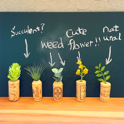 コルク×植物 メモスタンド(5個セット) 1枚目の画像