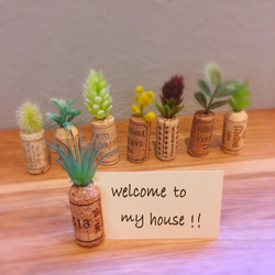 コルク×植物 メモスタンド(5個セット) 2枚目の画像